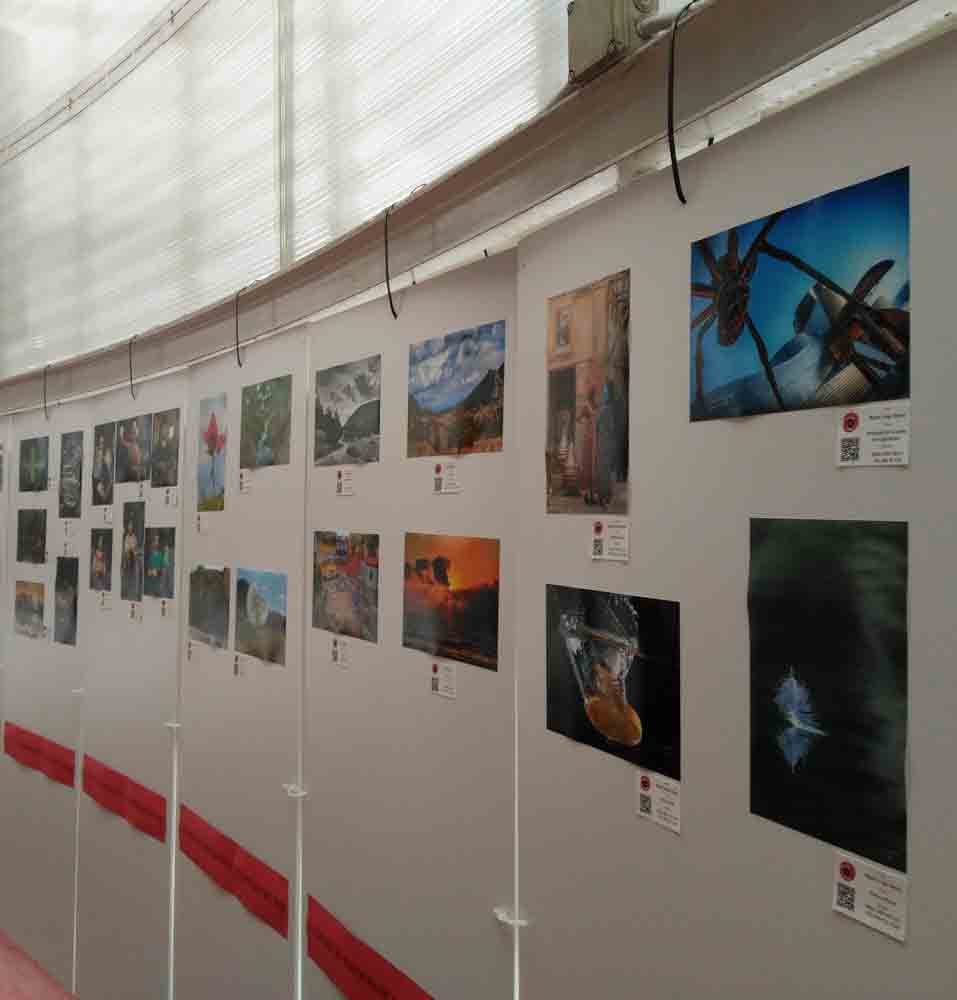 Exposición itinerante